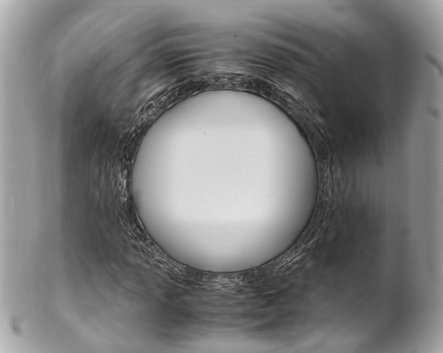 X0000102011013200807180906