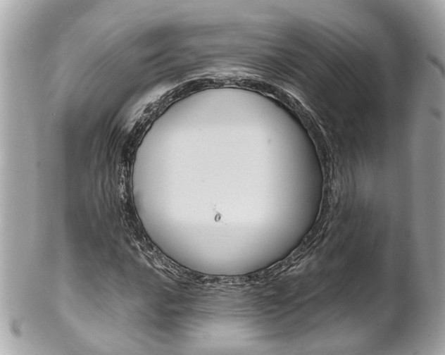 X0000102011016200807180906