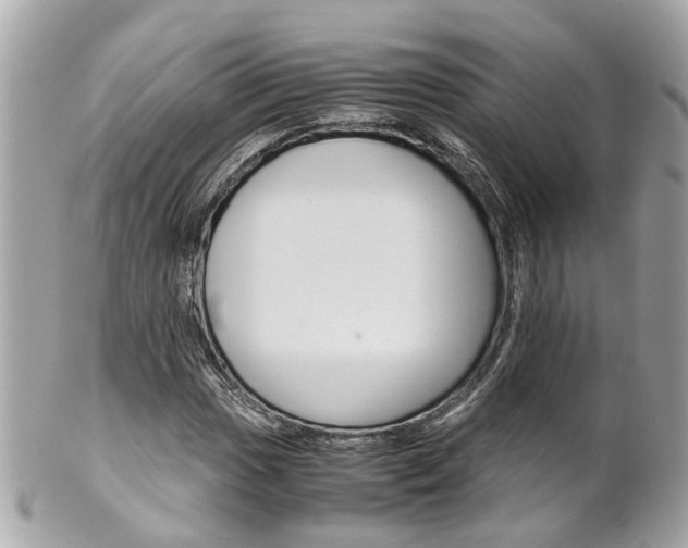 X0000102011017200807180906