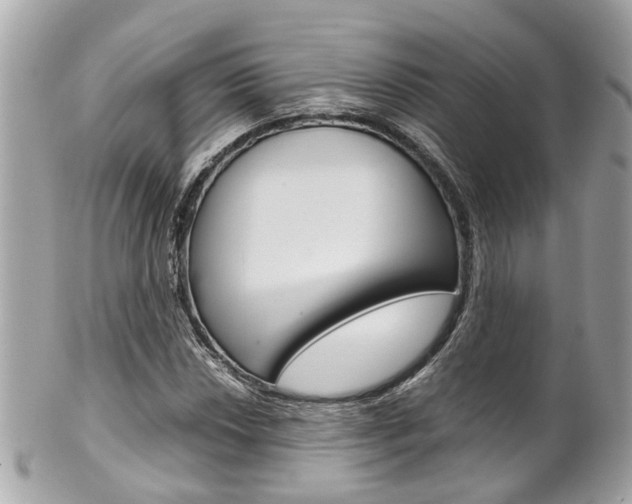 X0000102011018200807180906
