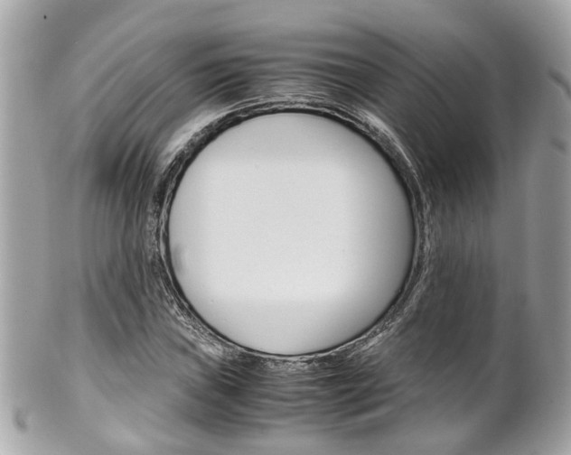 X0000102011019200807180906