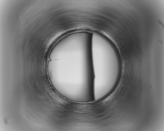X0000102011021200807180906