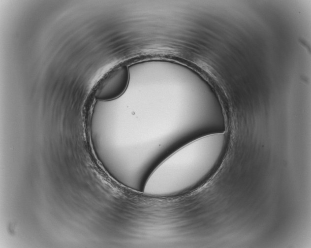 X0000102011022200807180906
