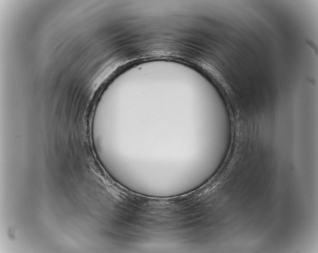X0000102011023200807180906