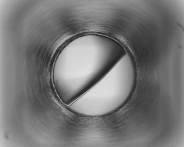 X0000102011024200807180906