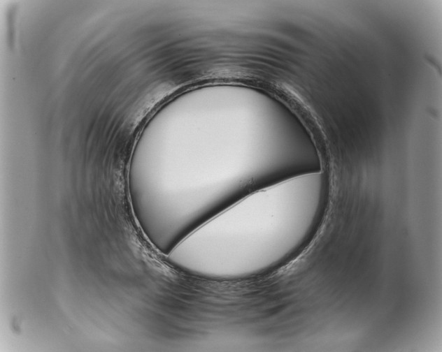 X0000102011025200807180906