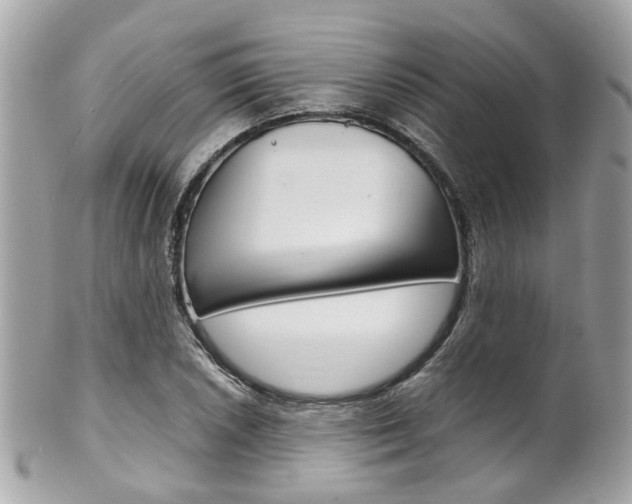 X0000102011026200807180906