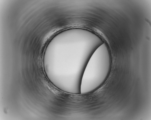 X0000102011027200807180906