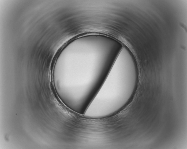 X0000102011028200807180906