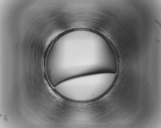 X0000102011030200807180906