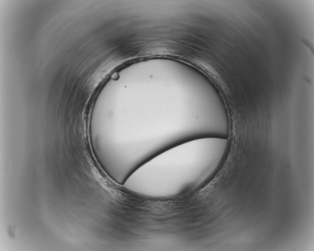 X0000102011031200807180906
