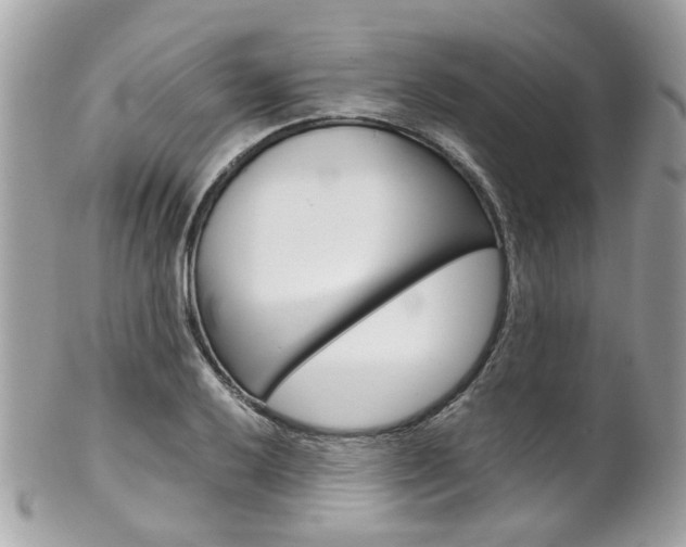 X0000102011032200807180906