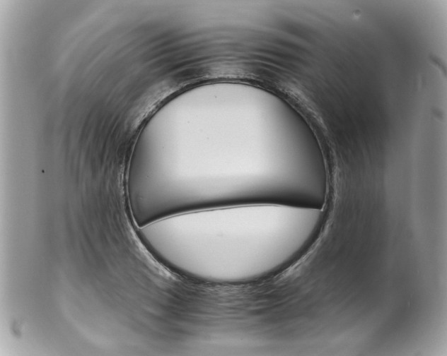 X0000102011033200807180906