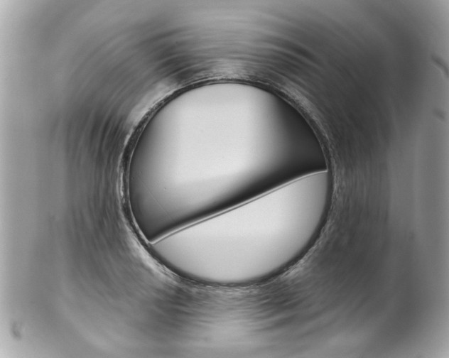 X0000102011034200807180906
