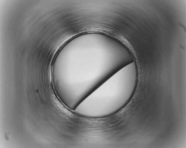 X0000102011036200807180906