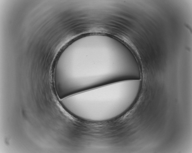 X0000102011037200807180906