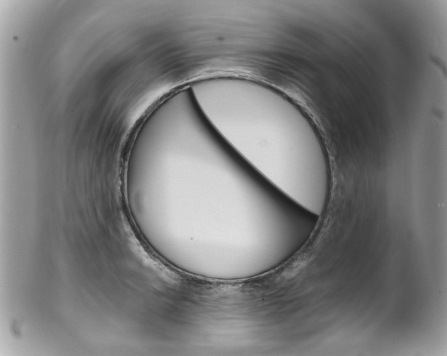 X0000102011038200807180906