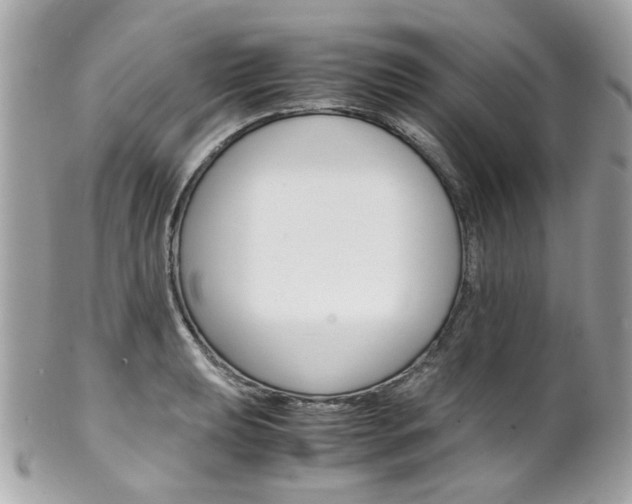 X0000102011039200807180906