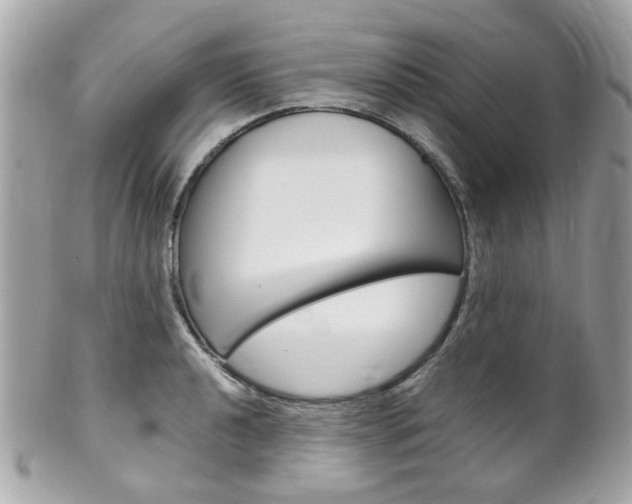 X0000102011040200807180906