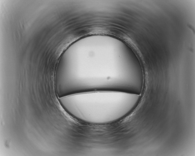 X0000102011041200807180906