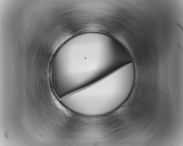 X0000102011042200807180906