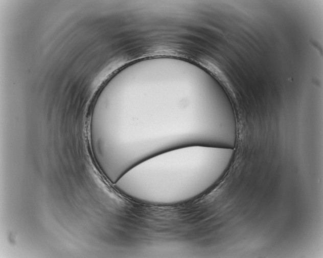 X0000102011043200807180906
