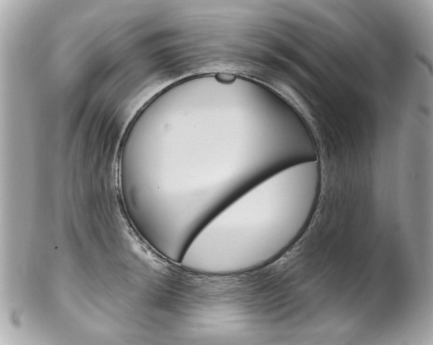 X0000102011044200807180906
