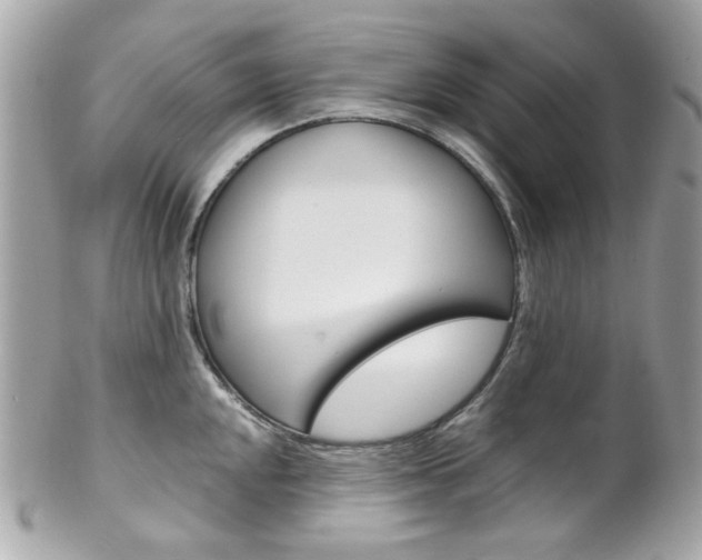 X0000102011048200807180906