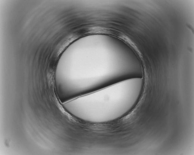 X0000102011049200807180906