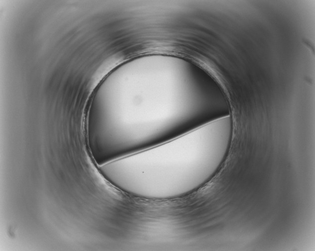 X0000102011050200807180906