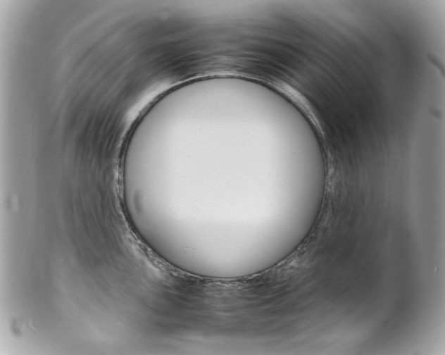 X0000102011051200807180907