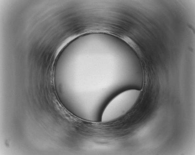 X0000102011052200807180907
