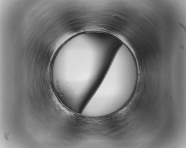 X0000102011053200807180907