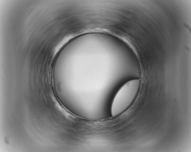 X0000102011054200807180907