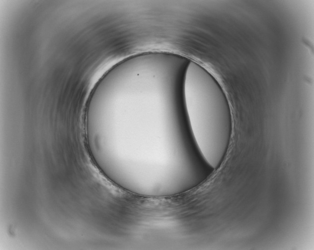 X0000102011056200807180907