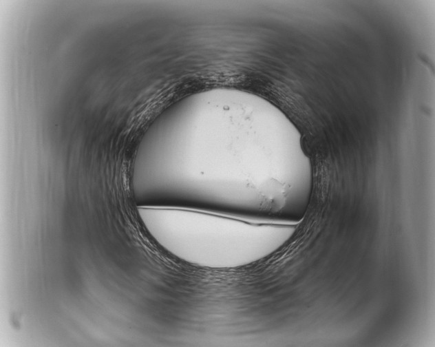 X0000102011058200807180906