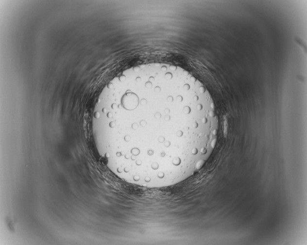 X0000102011059200807180906