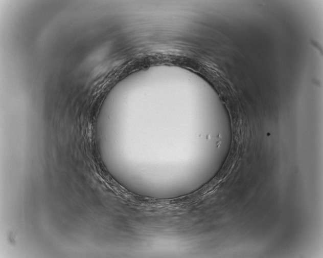 X0000102011061200807180906
