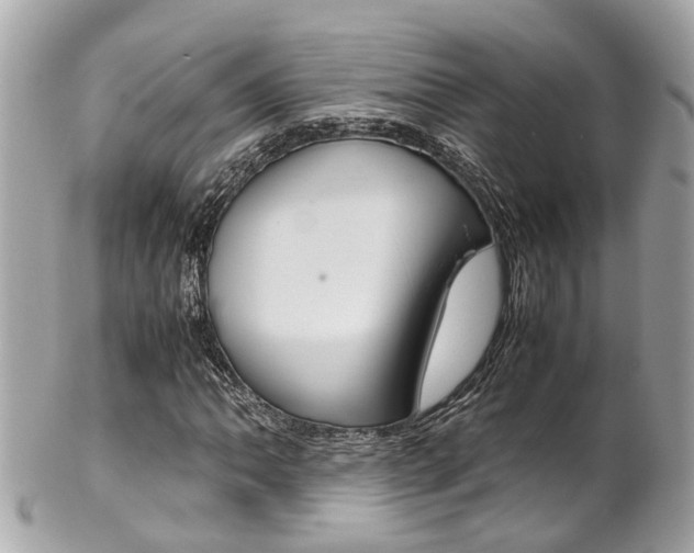 X0000102011062200807180906