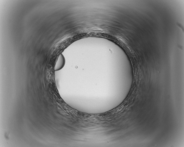 X0000102011063200807180906