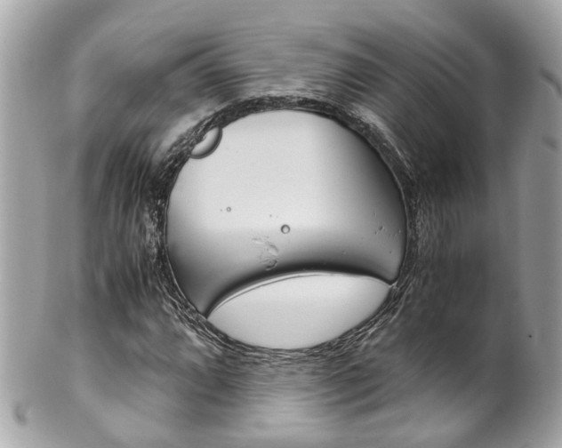 X0000102011064200807180906
