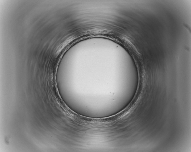 X0000102011065200807180906