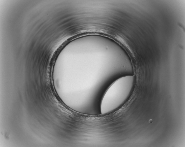 X0000102011068200807180906
