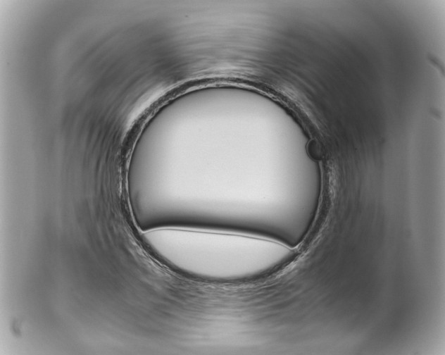 X0000102011069200807180906