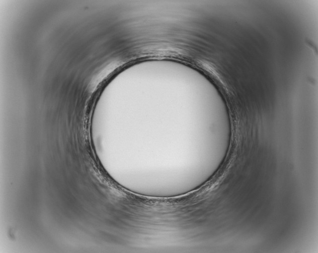X0000102011071200807180906