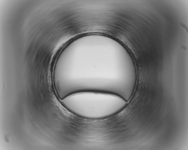 X0000102011072200807180906