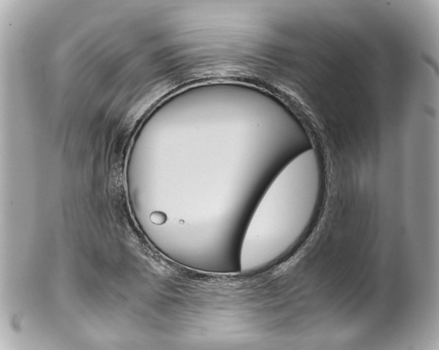 X0000102011073200807180906