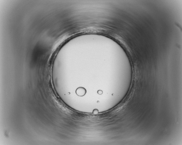 X0000102011075200807180906
