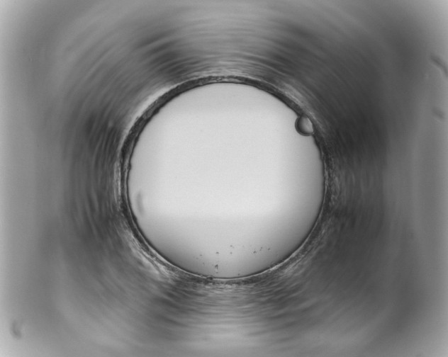 X0000102011076200807180906