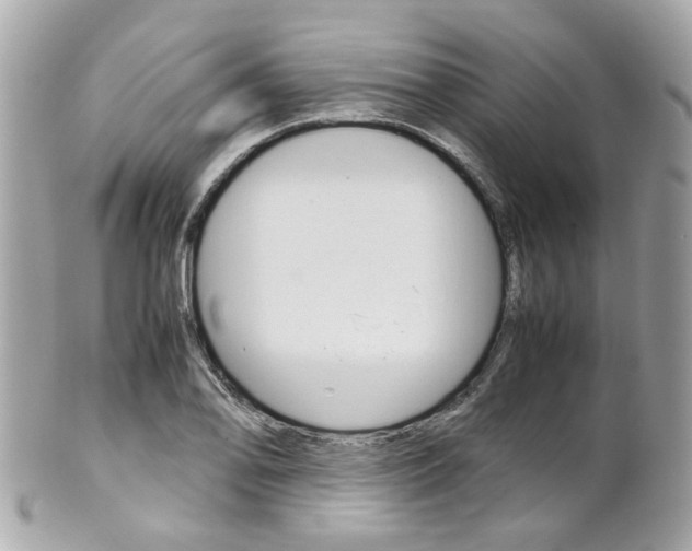 X0000102011078200807180906
